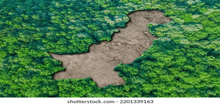 Climate Development Budget Rises 8.4pc as Green Pakistan Programme Gets Major Share