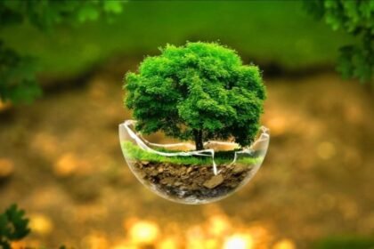 Govt plans three new projects under Rs122bn Green Pakistan Programme