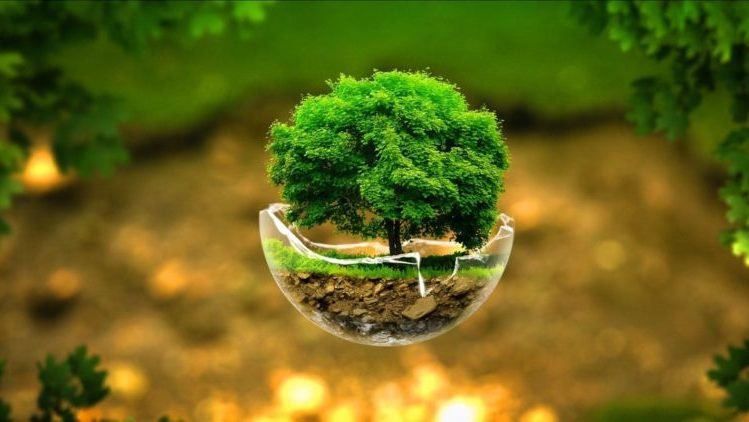 Govt plans three new projects under Rs122bn Green Pakistan Programme Govt plans three new projects under Rs122bn Green Pakistan Programme