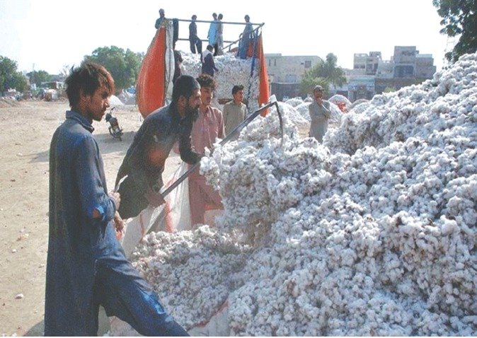 Raw Cotton Imports Drive 36% Rise In Textile Imports In June