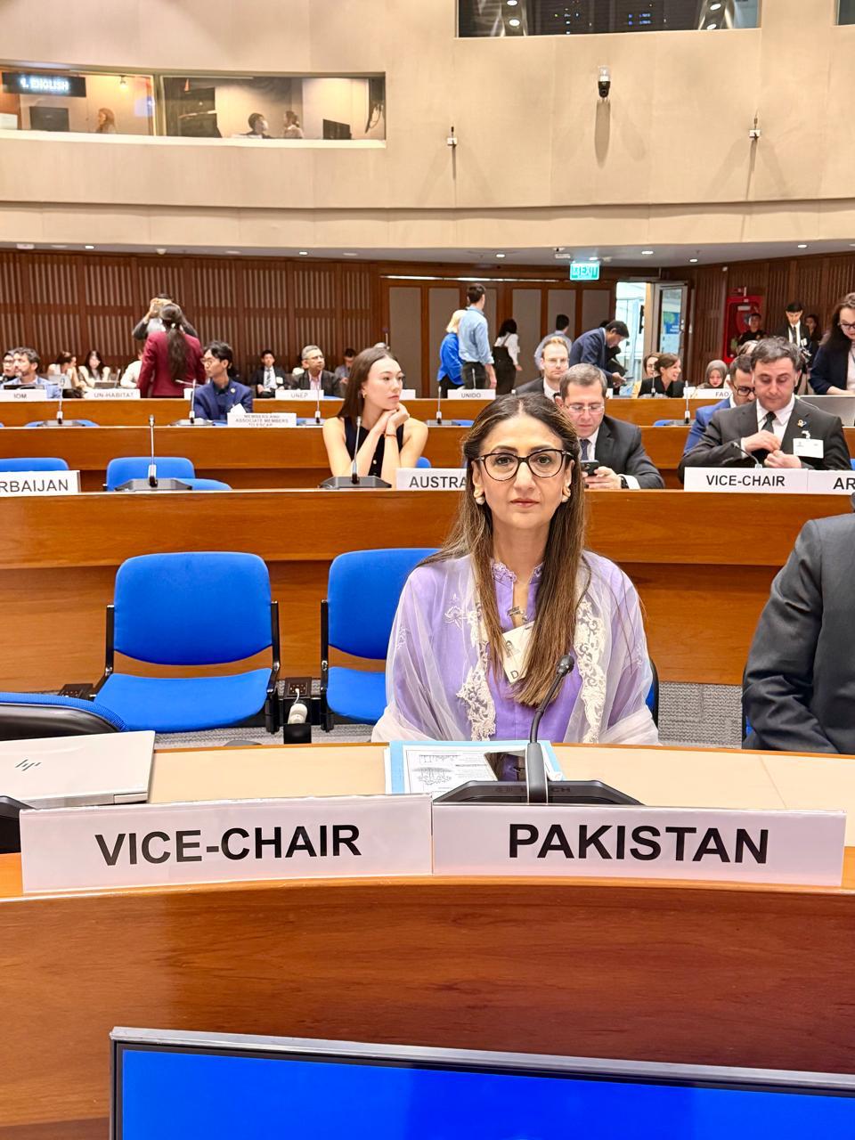 Pakistan urges stronger climate finance and regional cooperation at ESCAP meeting