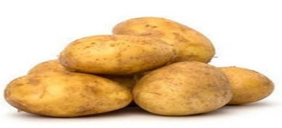 Pakistan’s Record Potato Harvest Sparks Price Crisis As Exports Fail To Keep Pace
