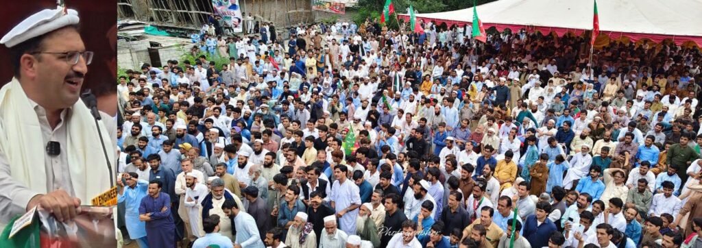 PTI Khyber Pakhtunkhwa President Junaid Akbar addresses a workers' convention in Shangla.
