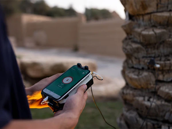 AI Listens to Trees: New Technology Detects Deadly Palm Pest Before It’s Too Late