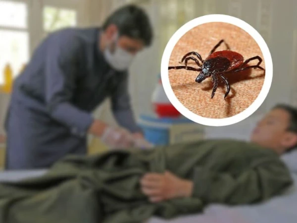 Crimean-Congo Hemorrhagic Fever, Congo Virus, CCHF, Pakistan Health, Quetta, Karachi, Jinnah Hospital, NIPA Hospital, Infectious Diseases, Public Health