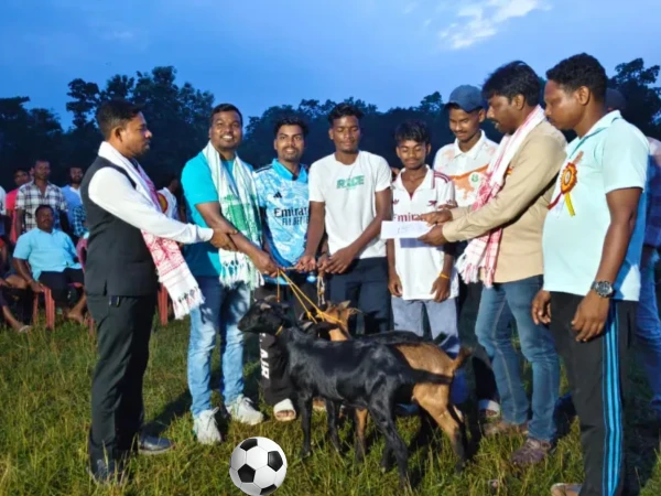 No Trophy, Just Goats! This Football Tournament Has Everyone Talking