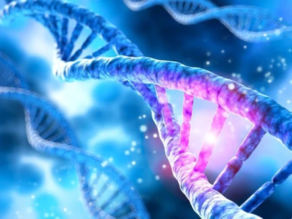 Sindh Lab Flags 9 Cancer Medicines Over Safety Concerns