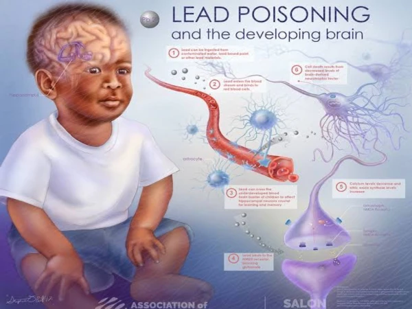 Even Tiny Amounts of Lead Can Permanently Harm a Child’s Brain, Experts Warn