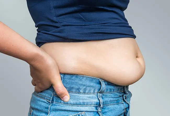 Study Highlights Vital Role of Body Fat Beyond Weight Gain