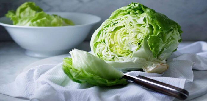 FDA Warns of Parasite Found in Iceberg Lettuce