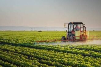 Punjab rolls out Rs60bn agro parks to boost exports