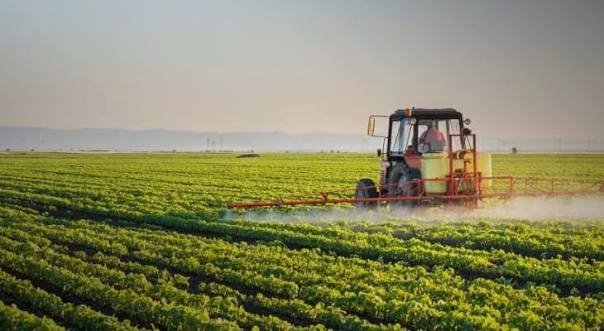 Punjab rolls out Rs60bn agro parks to boost exports