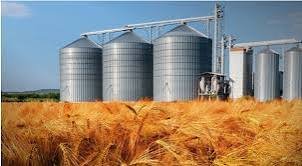 Punjab moves to expand wheat storage under Rs20bn plan