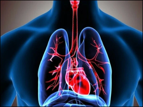 New Study Finds Omega-3 May Help Keep Your Lungs Healthier for Longer