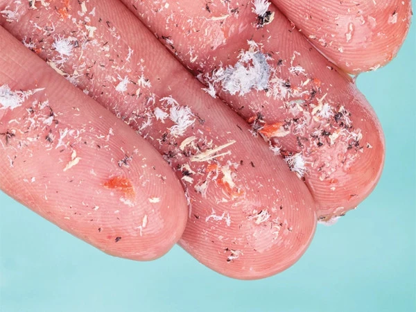 New Study Links Higher Microplastic Levels to Heart Attack Survivors