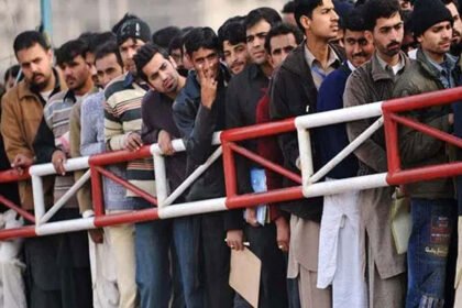 Punjab opens climate internship applications, offering selected youth Rs60,000 monthly stipend for three months.