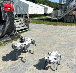 Chinese robots expand global reach through diverse applications