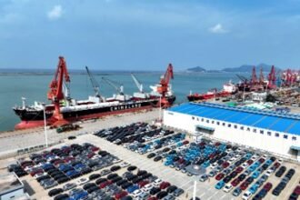 China partners with global stakeholders to unlock new development opportunities