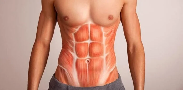 Six-Pack Abs: Why Diet, Exercise and Consistency Matter More Than Endless Crunches