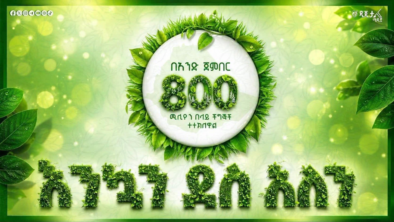 A Day to Remember: Ethiopia Plants 800 Million Trees in Single-Day