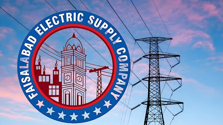 FESCO privatisation has attracted 12 local and foreign investor groups from Pakistan, Türkiye and China.