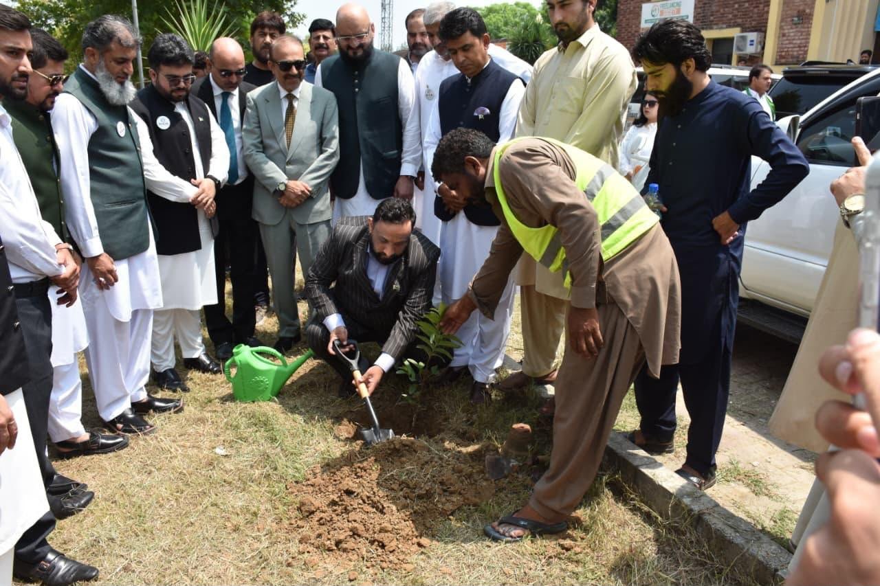 ICSTSI, RIDA Mark Independence Day with Business and Tree Plantation Activities