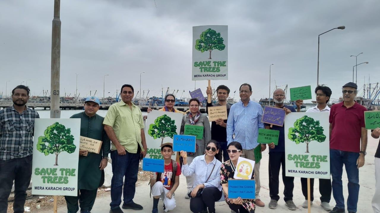 Mera Karachi Group launches mangrove drive to protect coastline
