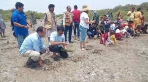 Mera Karachi Group launches mangrove drive to protect coastline Mera Karachi Group launches mangrove drive to protect coastline