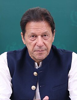 21 Former Cricket Captains Renew Appeal for Imran Khan’s Medical Treatment