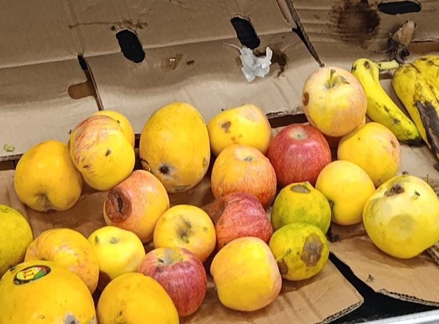 Rotten Fruits and Vegetables Allegedly Sold at Gilani Mart’s DC Counter in Soan Garden