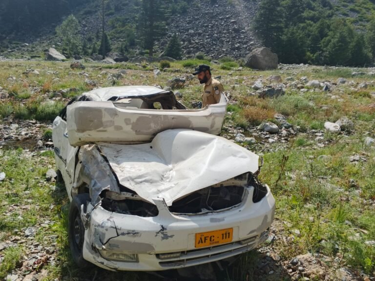 Tourist Killed in Kalam Valley Road Accident