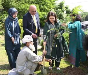 BISP Marks Independence Day, Launches ‘Green Pakistan, Benazir Pakistan’ Campaign