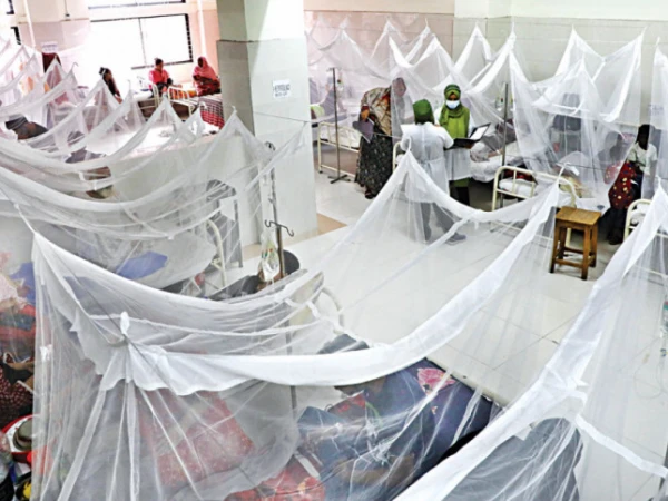 Dengue Cases Hit 478 in KP as Peshawar Emerges as Worst-Affected City