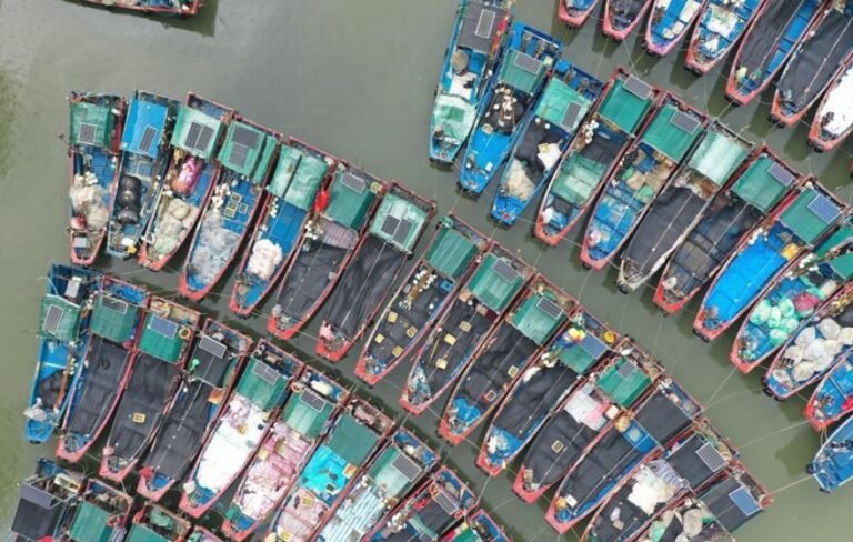 China activates a Level-IV flood emergency response as Typhoon Narra brings heavy rain risks to Guangdong, Guangxi and Hainan.