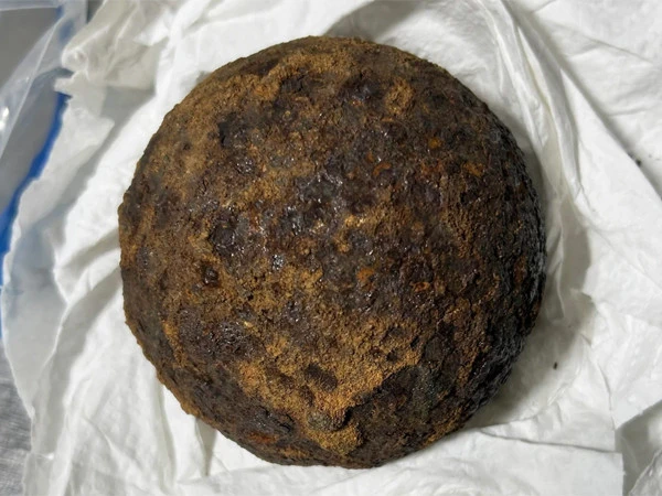 Grandson Hides Civil War Cannonballs in Grandmother’s Bag, Airport Security Uncovers Them