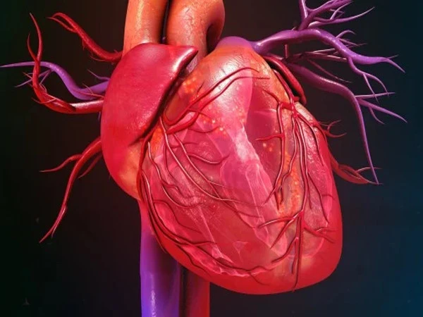 China’s New Heart Therapy Shows Promise in Early Trial