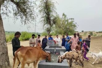 Sindh, KP rainwater projects benefit 67,000 people and 98,000 livestock