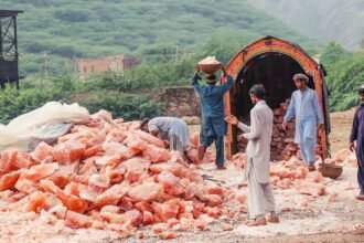 Pakistan’s pink salt exports surge to $36 million