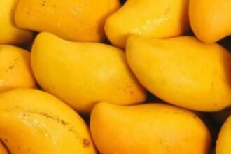 Pakistan’s mango exports reach 44,882 tonnes in 2026 season