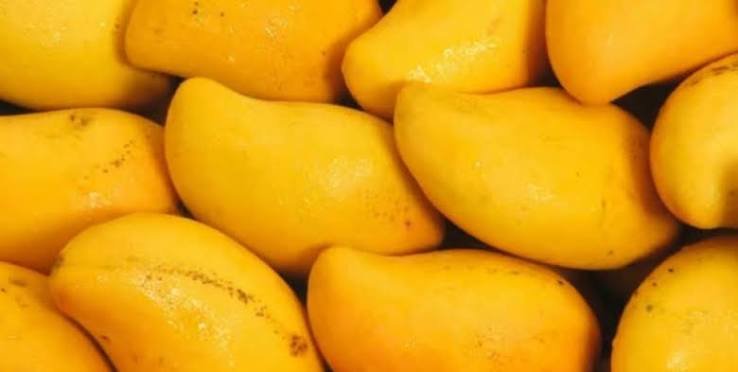 Pakistan’s mango exports reach 44,882 tonnes in 2026 season Pakistan’s mango exports reach 44,882 tonnes in 2026 season