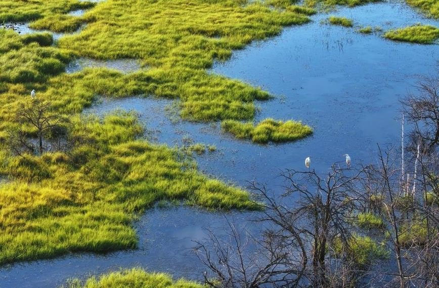 China’s Ecological and Environmental Code Takes Effect, Strengthening Green Governance