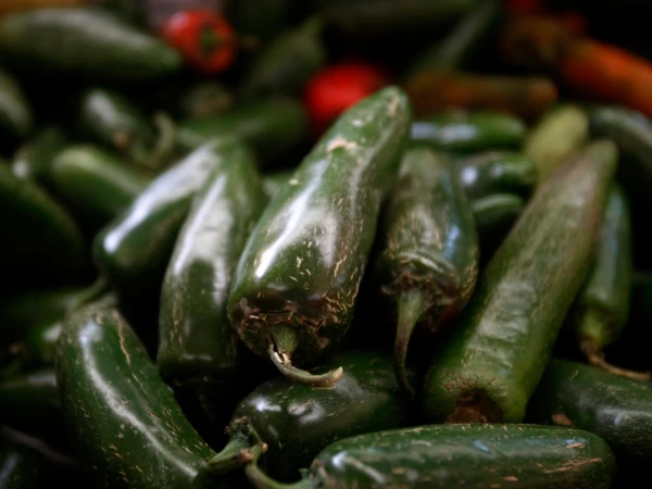 Imported jalapeño peppers linked to a Salmonella outbreak in the United States.