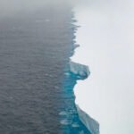 The giant A23a iceberg has almost disappeared after nearly 40 years in Antarctic and Southern Ocean waters, satellite images show.