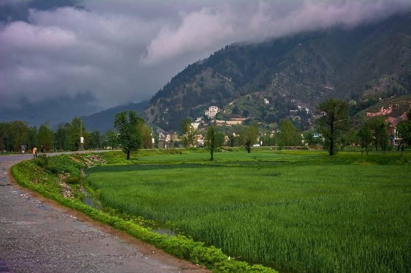 Swat Plans Fizaghat Bypass Encroachment Operation
