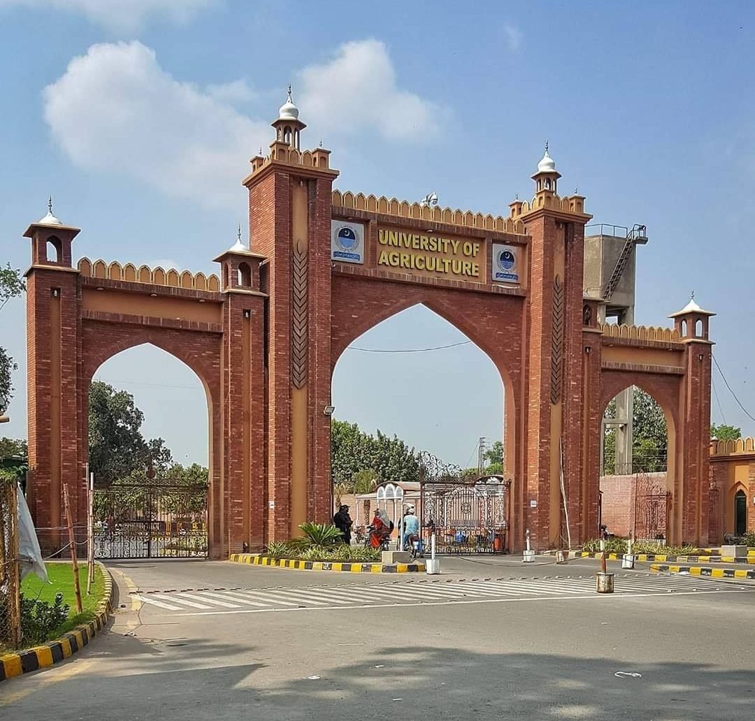 LHC Orders Probe Into 228 UAF Appointments