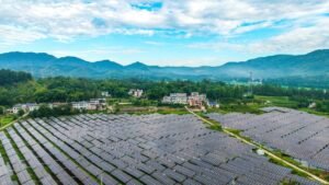 China: A positive contributor and strong stabilizer of global growth China: A positive contributor and strong stabilizer of global growth