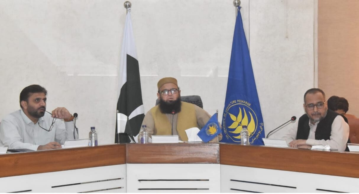 Agriculture University Peshawar approves long-awaited faculty, officers’ promotions