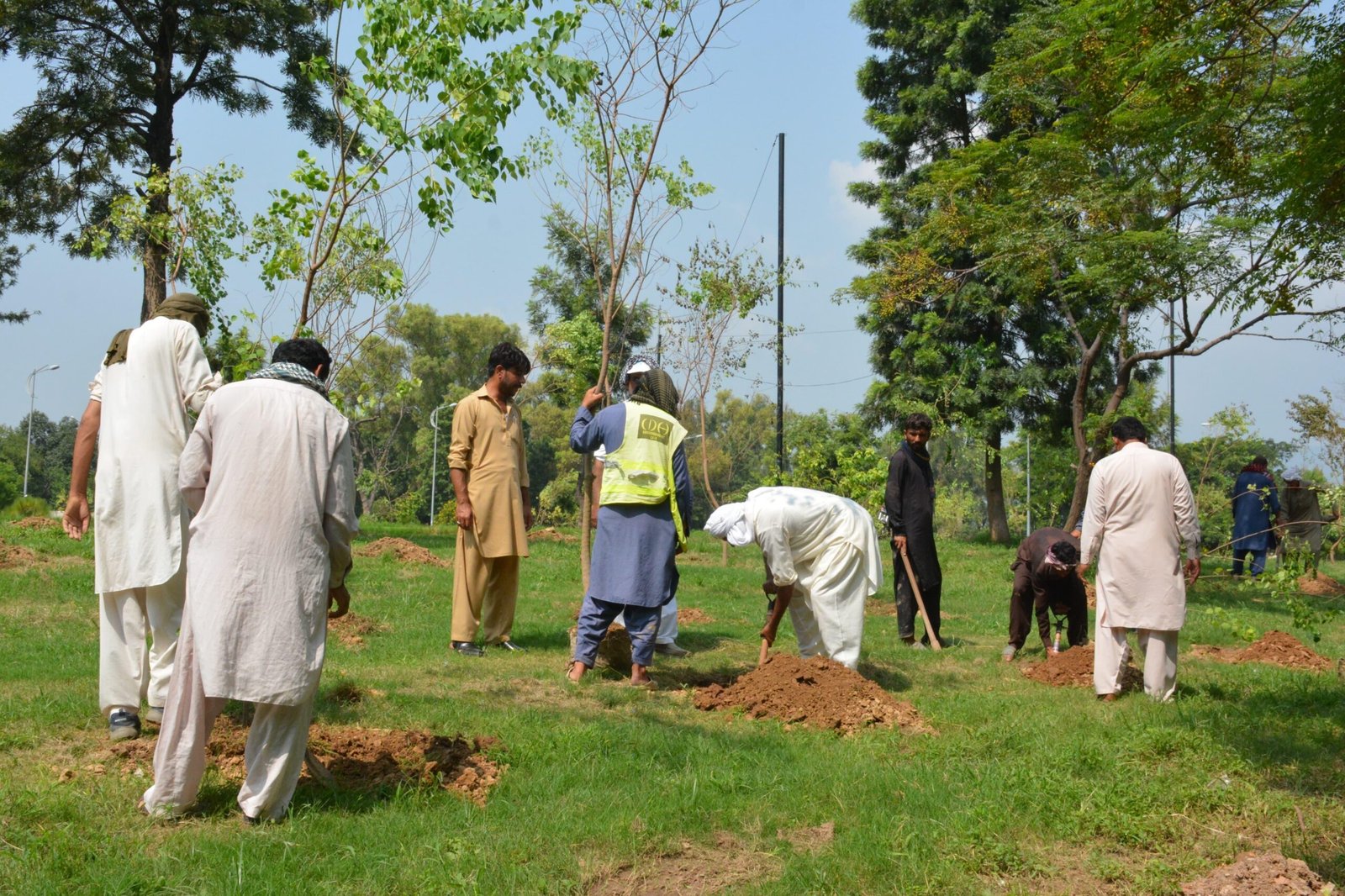 CDA steps up tree plantation drive across Islamabad