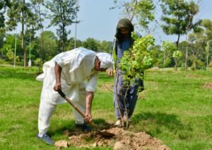 CDA steps up tree plantation drive across Islamabad CDA steps up tree plantation drive across Islamabad