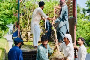 CDA steps up tree plantation drive across Islamabad CDA steps up tree plantation drive across Islamabad